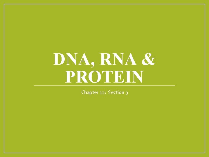 DNA, RNA & PROTEIN Chapter 12: Section 3 