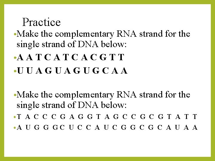 Practice • Make the complementary RNA strand for the single strand of DNA below: