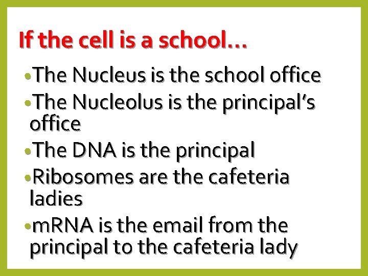 If the cell is a school… • The Nucleus is the school office •