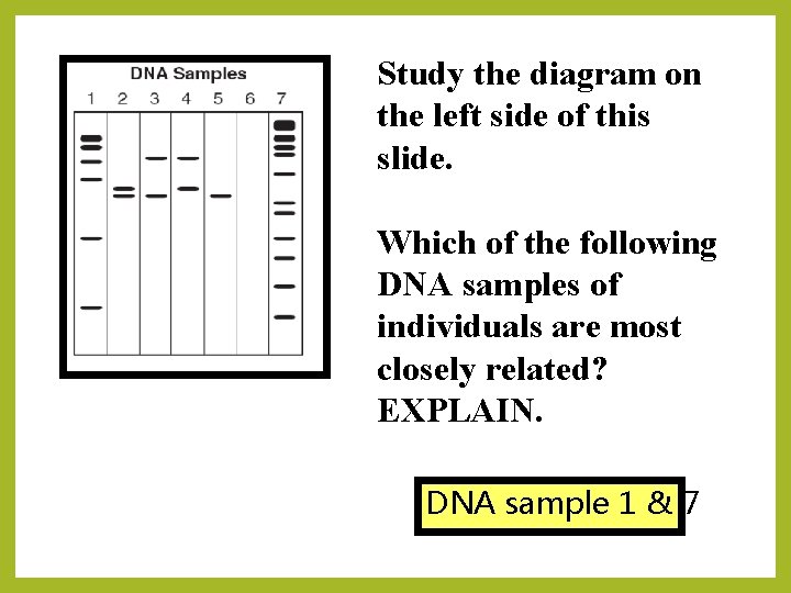 Study the diagram on the left side of this slide. Which of the following