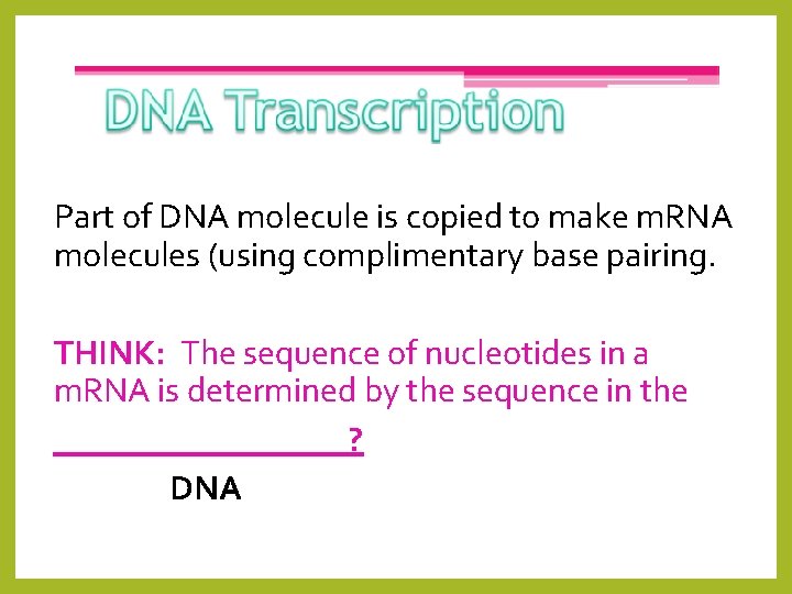 Part of DNA molecule is copied to make m. RNA molecules (using complimentary base