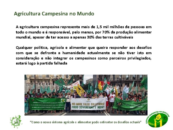 Agricultura Campesina no Mundo A agricultura campesina representa mais de 1, 5 milhões de