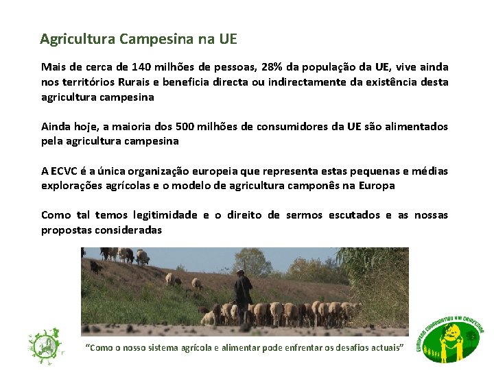 Agricultura Campesina na UE Mais de cerca de 140 milhões de pessoas, 28% da