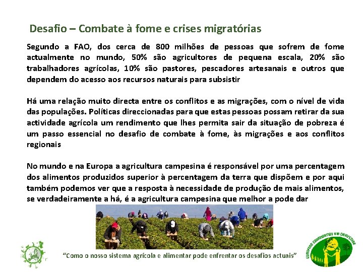 Desafio – Combate à fome e crises migratórias Segundo a FAO, dos cerca de