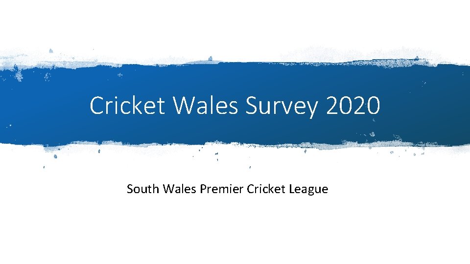 Cricket Wales Survey 2020 South Wales Premier Cricket League 