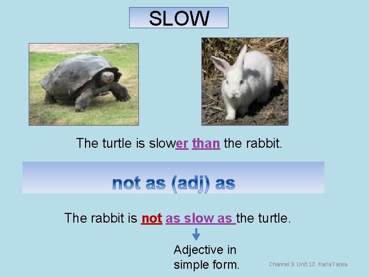 SLOW The turtle is slower than the rabbit. The rabbit is not as slow