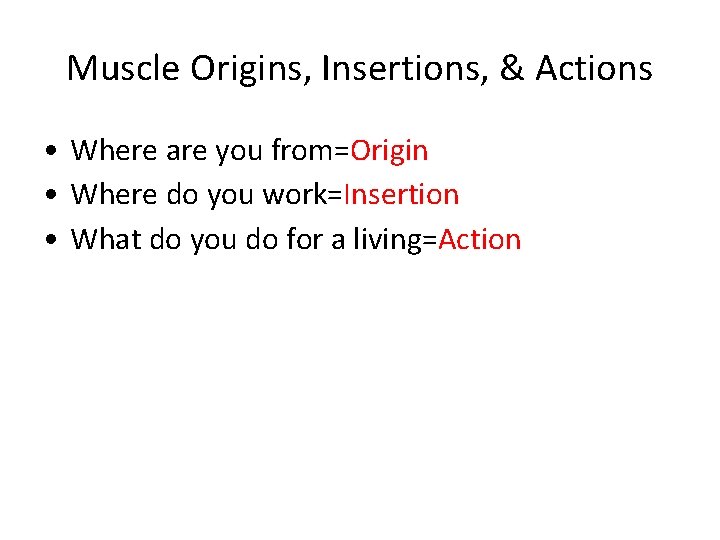 Muscle Origins, Insertions, & Actions • Where are you from=Origin • Where do you