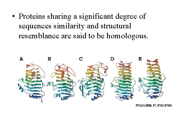  • Proteins sharing a significant degree of sequences similarity and structural resemblance are