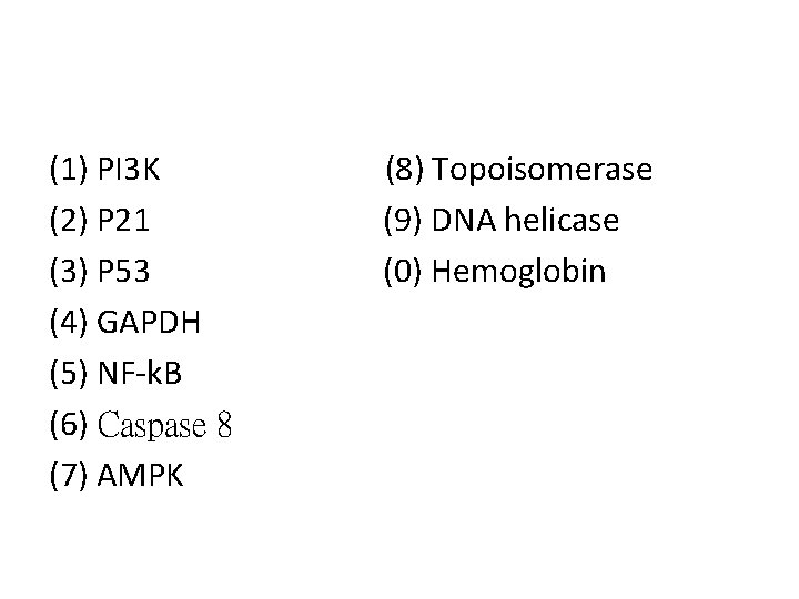 (1) PI 3 K (2) P 21 (3) P 53 (4) GAPDH (5) NF-k.