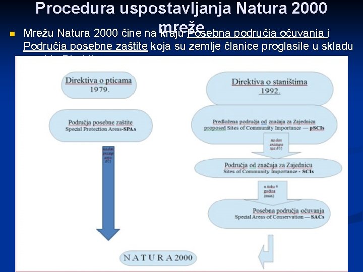 n Procedura uspostavljanja Natura 2000 Mrežu Natura 2000 čine na mreže kraju Posebna područja