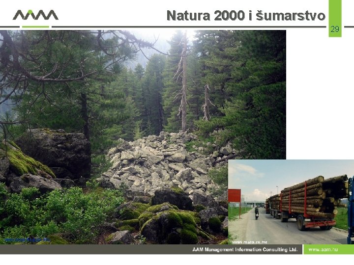 Natura 2000 i šumarstvo 29 www. stazeibogaze. info www. mans. co. me 