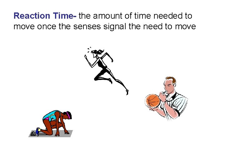 Reaction Time- the amount of time needed to move once the senses signal the