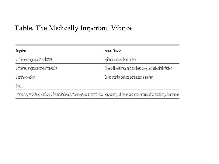 Table. The Medically Important Vibrios. 