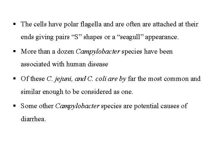 § The cells have polar flagella and are often are attached at their ends