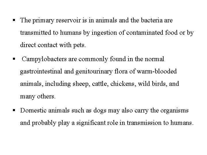 § The primary reservoir is in animals and the bacteria are transmitted to humans
