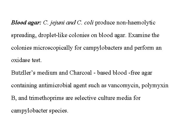 Blood agar: C. jejuni and C. coli produce non-haemolytic spreading, droplet-like colonies on blood