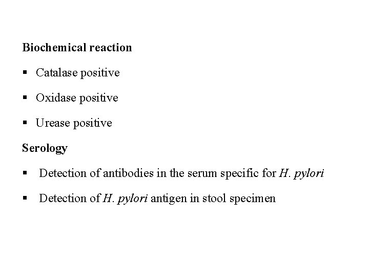 Biochemical reaction § Catalase positive § Oxidase positive § Urease positive Serology § Detection