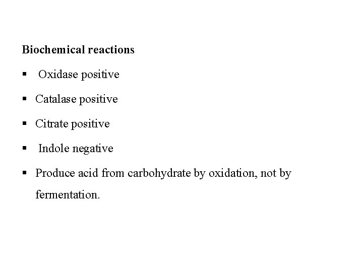 Biochemical reactions § Oxidase positive § Catalase positive § Citrate positive § Indole negative
