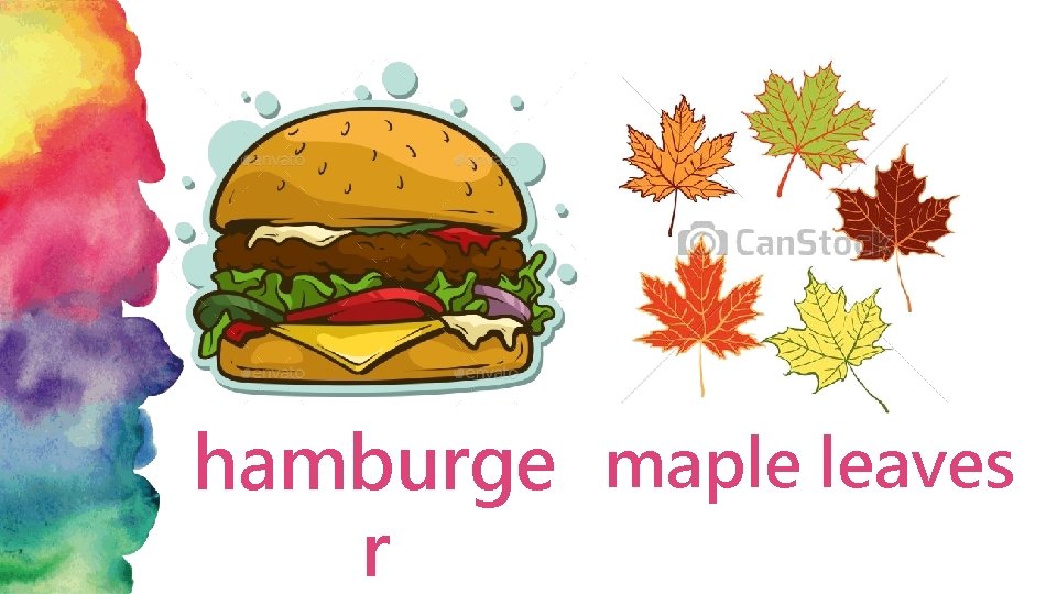hamburge maple leaves r 