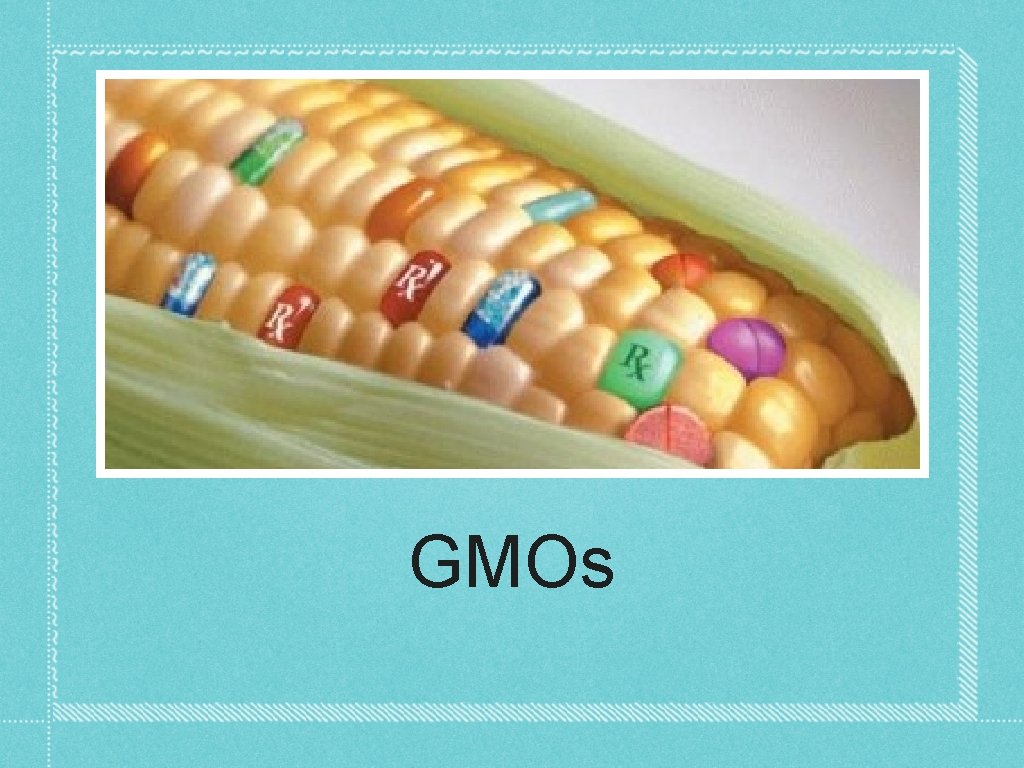 GMOs 