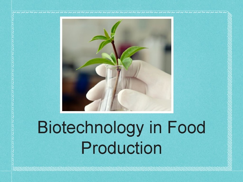 Biotechnology in Food Production 