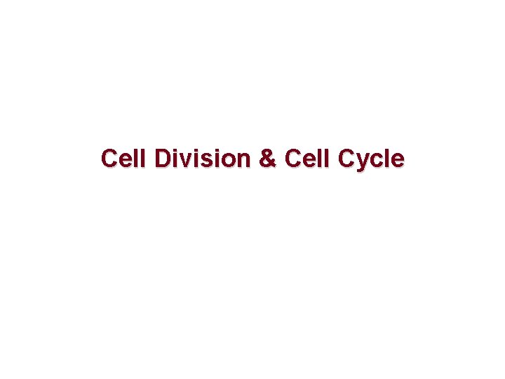 Cell Division & Cell Cycle 