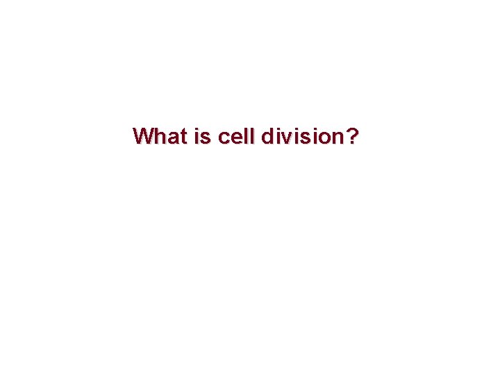 What is cell division? 