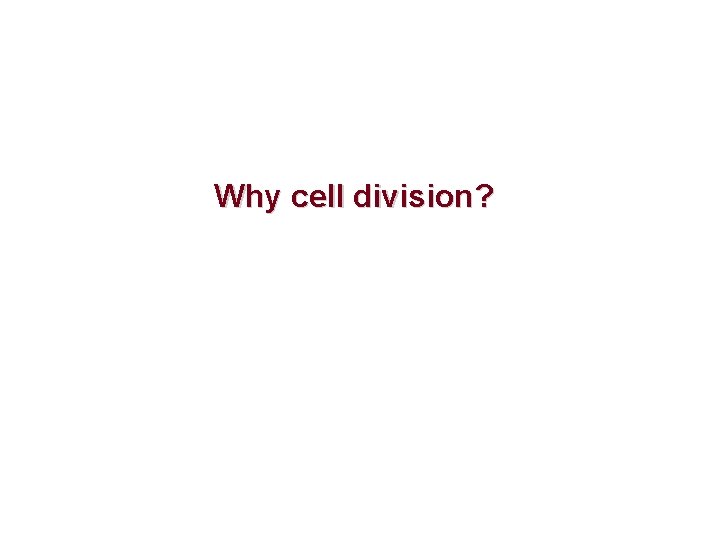 Why cell division? 