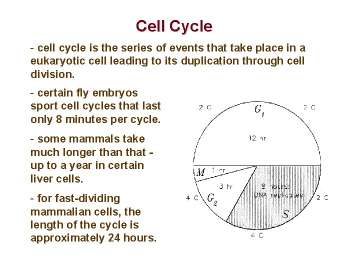 Cell Cycle - cell cycle is the series of events that take place in