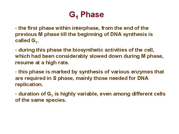 G 1 Phase - the first phase within interphase, from the end of the