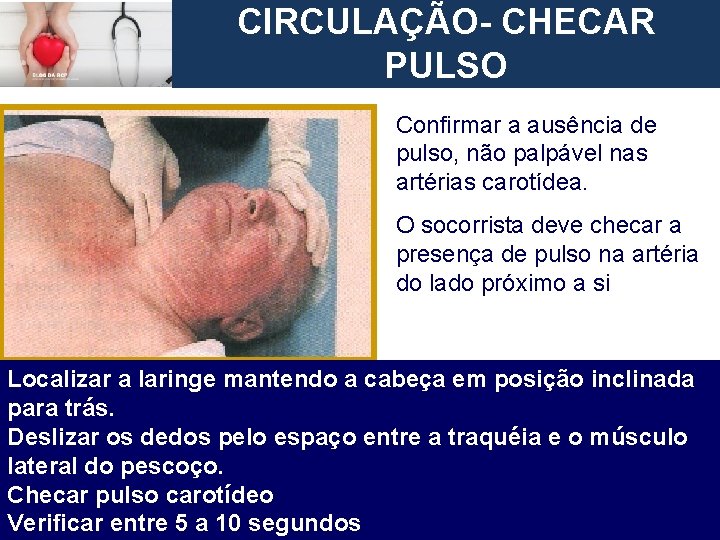 European Resuscitation Council CIRCULAÇÃO- CHECAR CIRCULAÇÃO – CHECAR PULSO C Confirmar a ausência de