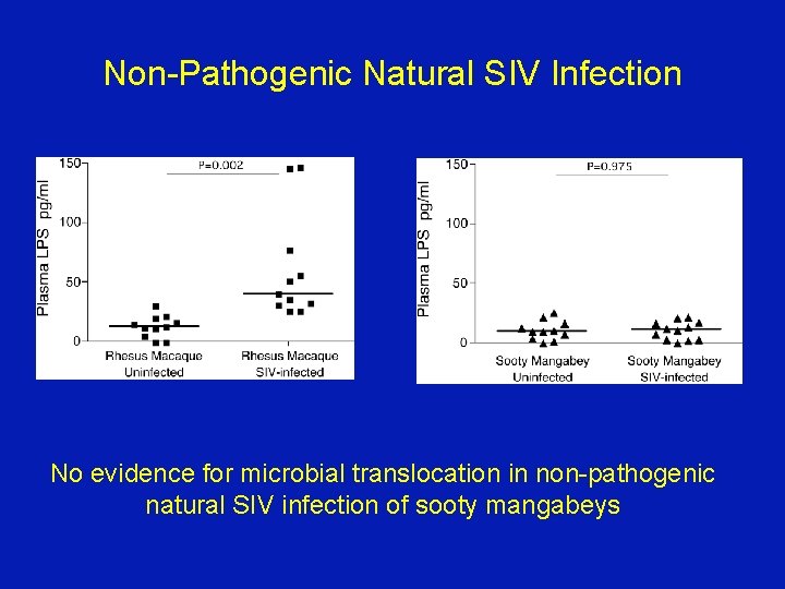 Non-Pathogenic Natural SIV Infection No evidence for microbial translocation in non-pathogenic natural SIV infection Non-Pathogenic Natural SIV Infection No evidence for microbial translocation in non-pathogenic natural SIV infection