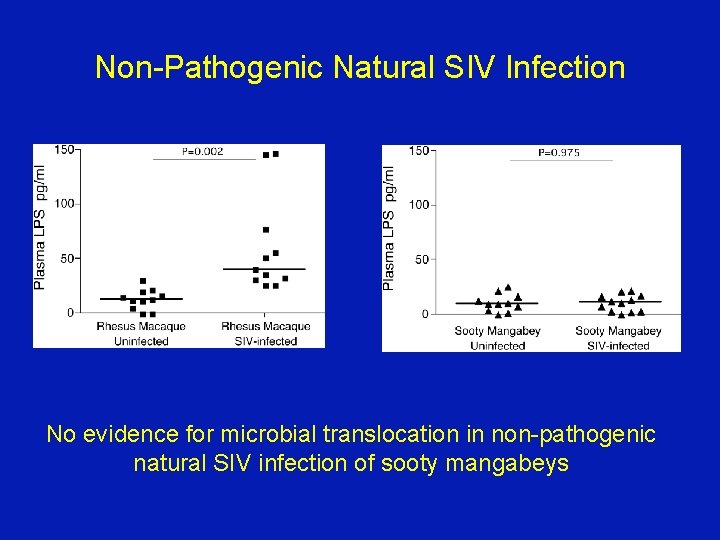 Non-Pathogenic Natural SIV Infection No evidence for microbial translocation in non-pathogenic natural SIV infection