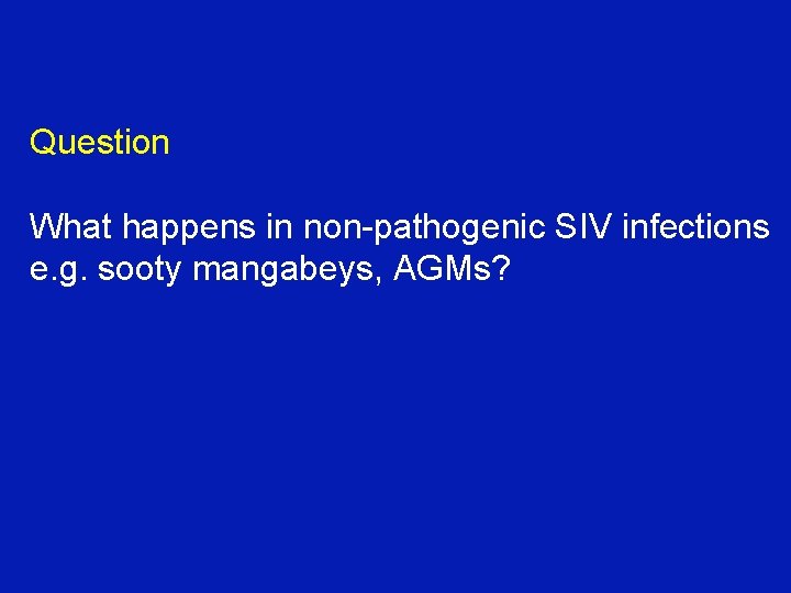 Question What happens in non-pathogenic SIV infections e. g. sooty mangabeys, AGMs? Question What happens in non-pathogenic SIV infections e. g. sooty mangabeys, AGMs?