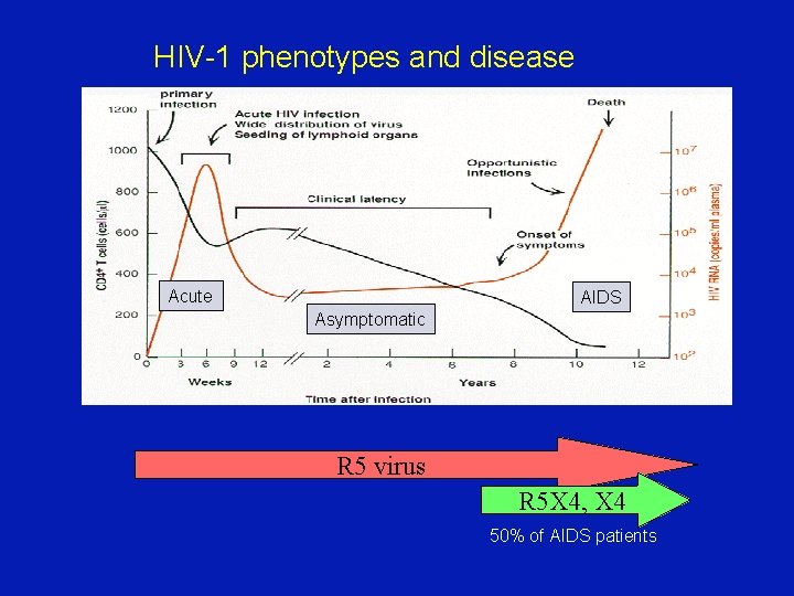 HIV-1 phenotypes and disease Acute AIDS Asymptomatic R 5 virus R 5 X 4,