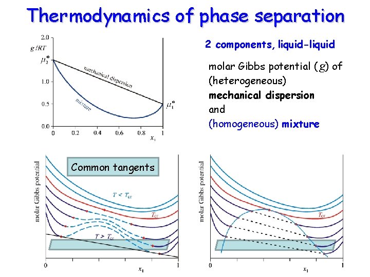 Thermodynamics of phase separation 2 components, liquid-liquid molar Gibbs potential ( g) of (heterogeneous)