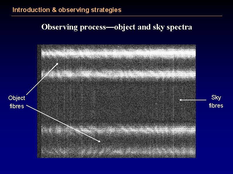 Introduction & observing strategies Observing process—object and sky spectra Object fibres Sky fibres 