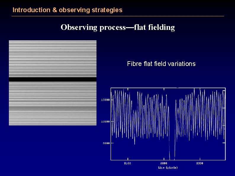 Introduction & observing strategies Observing process—flat fielding Fibre flat field variations 