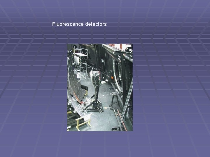 Fluorescence detectors 