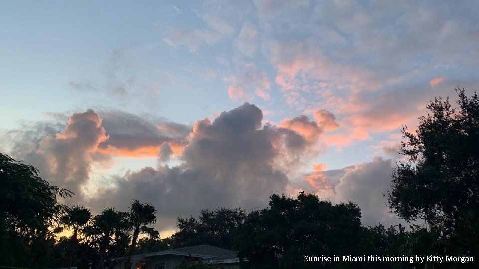 Sunrise in Miami this morning by Kitty Morgan 