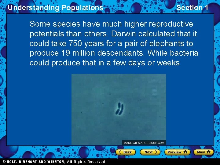 Understanding Populations Section 1 Some species have much higher reproductive potentials than others. Darwin