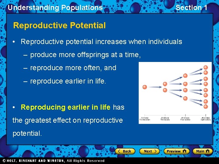 Understanding Populations Section 1 Reproductive Potential • Reproductive potential increases when individuals – produce