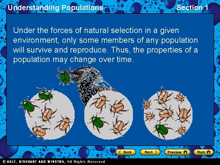 Understanding Populations Section 1 Under the forces of natural selection in a given environment,