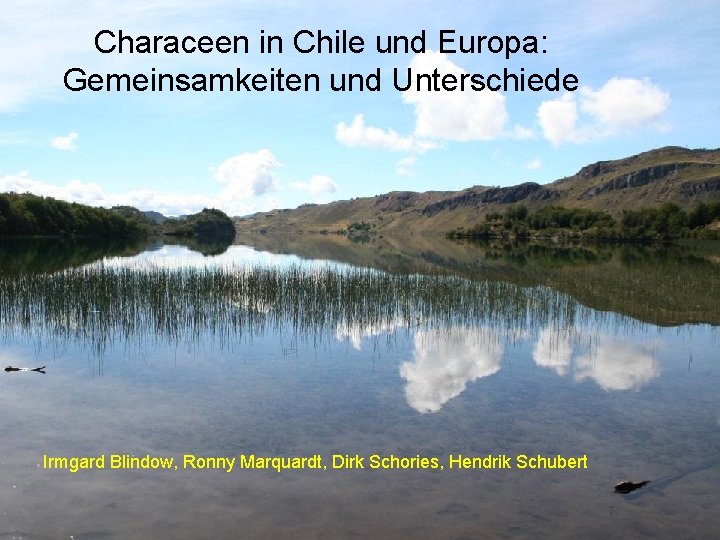 Characeen in Chile und Europa: Gemeinsamkeiten und Unterschiede Irmgard Blindow, Ronny Marquardt, Dirk Schories,