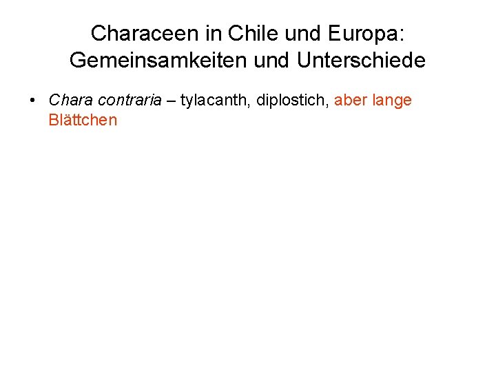 Characeen in Chile und Europa: Gemeinsamkeiten und Unterschiede • Chara contraria – tylacanth, diplostich,