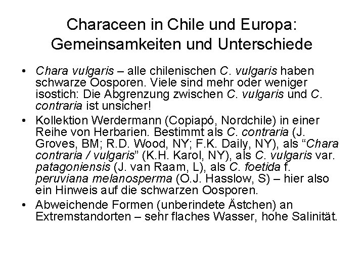 Characeen in Chile und Europa: Gemeinsamkeiten und Unterschiede • Chara vulgaris – alle chilenischen