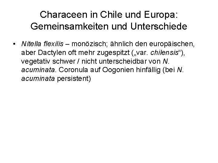 Characeen in Chile und Europa: Gemeinsamkeiten und Unterschiede • Nitella flexilis – monözisch; ähnlich