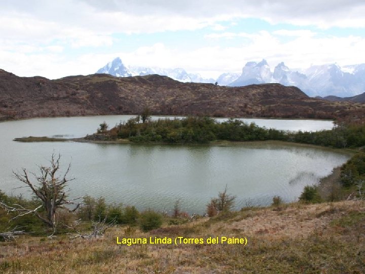 Laguna Linda (Torres del Paine) 