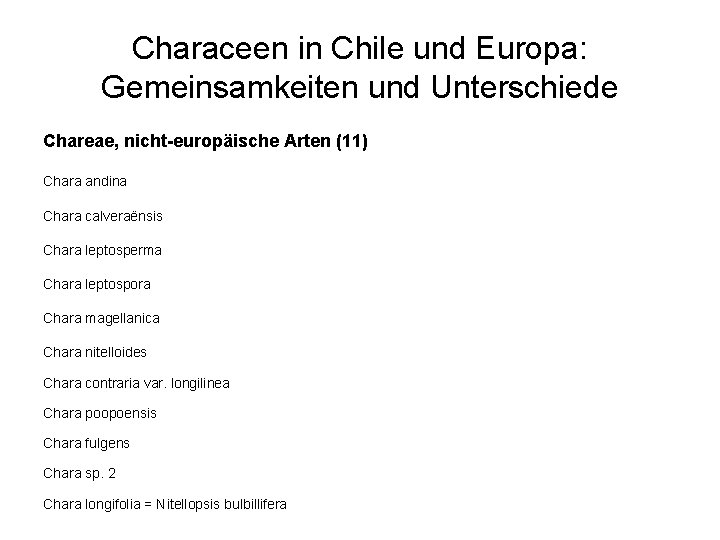 Characeen in Chile und Europa: Gemeinsamkeiten und Unterschiede Chareae, nicht-europäische Arten (11) Chara andina