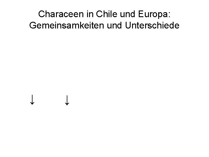 Characeen in Chile und Europa: Gemeinsamkeiten und Unterschiede ↓ ↓ 